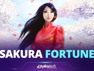 Sakura Fortune screenshot